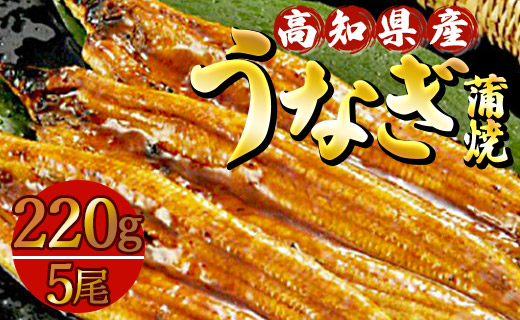 高知県産養殖うなぎ蒲焼 220ｇ ５尾セット
