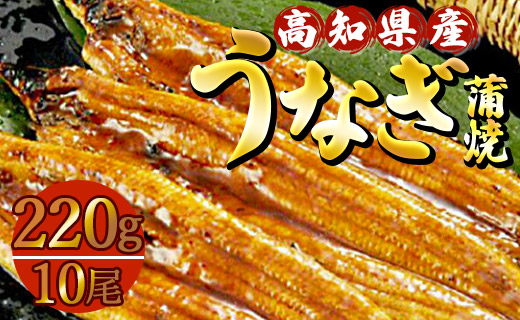 高知県産養殖うなぎ蒲焼 220ｇ 10尾セット