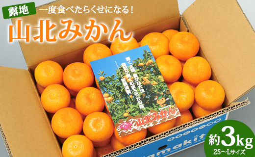 一度食べたらくせになる！高知県産 山北みかん 約3kg(露地 2S～Lサイズ) - 果物 フルーツ ミカン 柑橘 のし 贈り物 冬 注文順順次配送 お取り寄せ