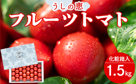 うしの恵フルーツトマト化粧箱入1.5kg