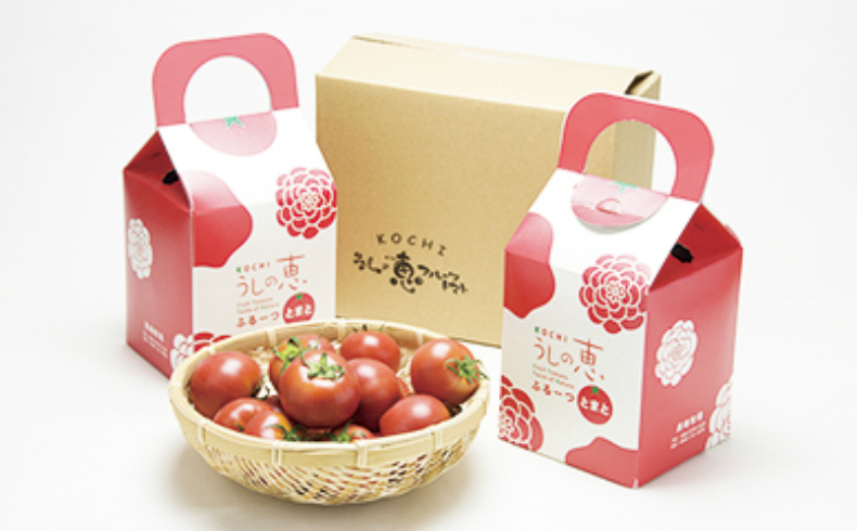 うしの恵 フル-ツトマト４箱（トマト650g×4）