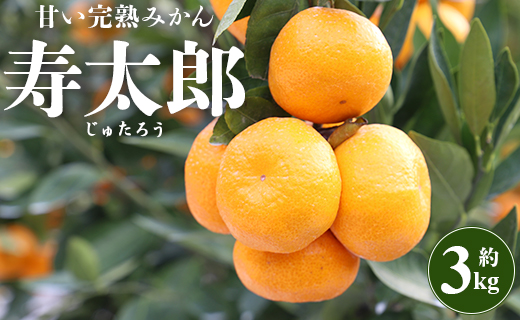 間城農園 甘い完熟みかん寿太郎(じゅたろう)3kg 柑橘 フルーツ 果物 みかん