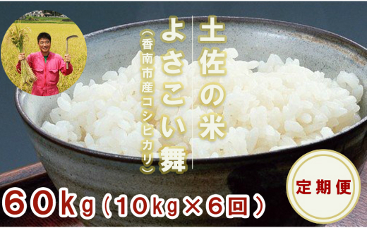 【お米定期便】おいしい土佐の米よさこい舞（偶数月１０kg）