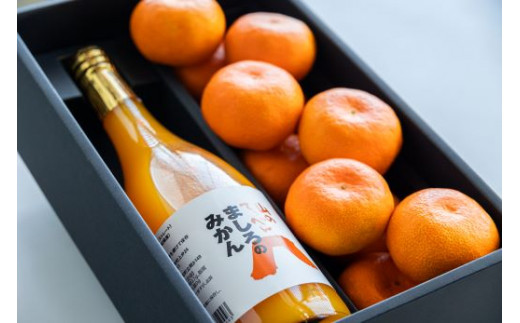 間城農園 みかん1kgと温州みかんジュース1本のセット 柑橘 みかん みかんジュース