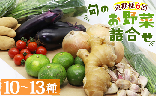 定期便６回コース 高知県香南市産 旬のお野菜詰合せ(10～13品目)