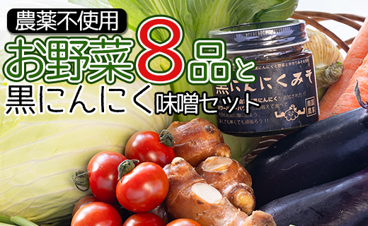 農薬不使用のお野菜8品と黒にんにく味噌のセット　U-195