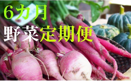 野菜【６カ月】定期便 香南市のお野菜詰め合わせコース