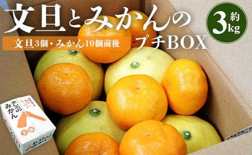 間城農園 ちょこっと食べたい方におすすめ「文旦とみかんのプチＢＯＸ」 果物 フルーツ 柑橘 ぶんたん みかん 特産品