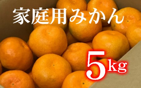山のてっぺん間城農園のみかん (家庭用) 5kg フルーツ 柑橘 みかん