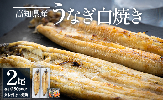 高知県産うなぎの白焼き 130～150g×2尾 エコ包装 国産 うなぎ 白焼き 鰻 冷凍 高知