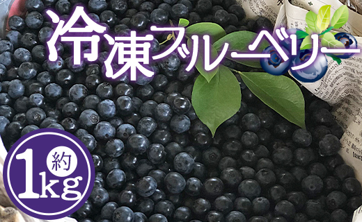 冷凍ブルーベリー 1kg - ブルベリー 国産 フルーツ 冷凍フルーツ 果物 自然栽培 ヨーグルト ジュース 新鮮無農薬 朝採れ 新鮮