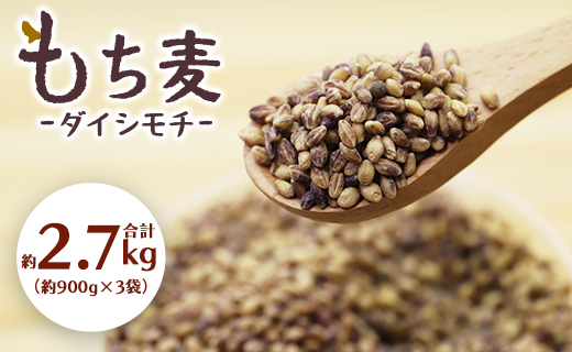 もち麦（ダイシモチ） 合計2.7kg - 香南市産 食物繊維 ミネラル 豊富 のし もち麦 国産 特産品