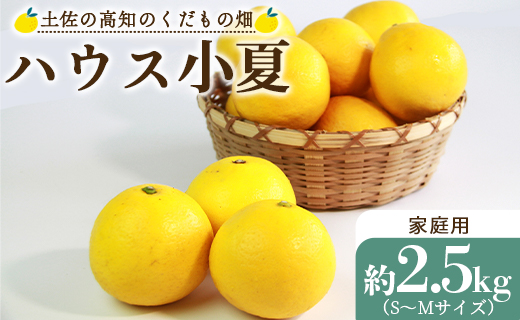 ハウス小夏 2.5kg(家庭用) - ミカン みかん 蜜柑 柑橘 果物 フルーツ こなつ のし対応可 熨斗 国産 kd-0012