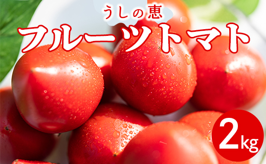 うしの恵フルーツトマト2kg - 野菜 フルーツトマト とまと 産地直送 完熟トマト mj-0009