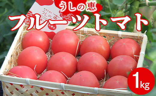 うしの恵 フルーツトマト籠入り1kg - 野菜 とまと 期間限定 フルーツトマト 産地直送 mj-0007