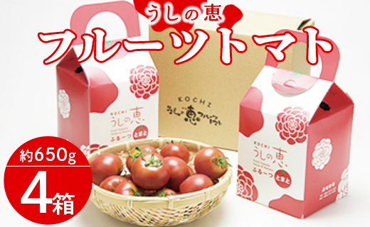 うしの恵 フルーツトマト4箱(650g×4) - 野菜 フルーツトマト トマト とまと 産地直送 ギフト mj-0011
