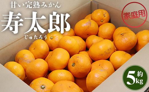 間城農園 甘い完熟みかん 寿太郎 (家庭用) 5kg - フルーツ 果物 柑橘 みかん ms-0043