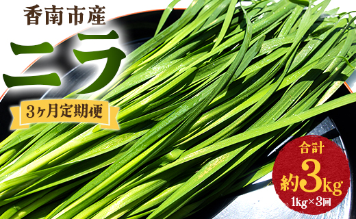 生産量日本一香南市のニラ 1kg 3ヶ月定期便 合計3kg - ニラ 香南市産 にら 朝採れ 産地直送 香味野菜 ニラ Won-0015