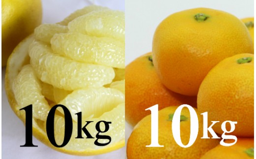 【柑橘定期便】間城農園みかん10kg（1回目)・土佐文旦10kg(2回目) Wms-0059