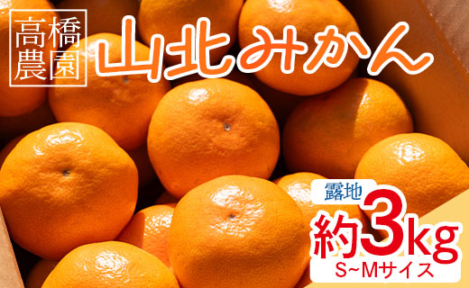 高橋農園 山北みかん3kg(露地・Ｓ～Ｍ) - 果物 フルーツ ミカン 蜜柑 柑橘 th-0006