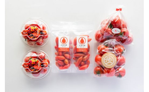 香南市フルーツトマト詰合せ 合計1kg以上 ko-0004