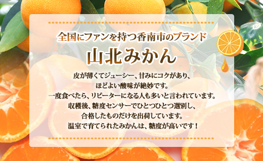 山北温室みかん1.2kg 果物 柑橘 ミカン 蜜柑 フルーツ