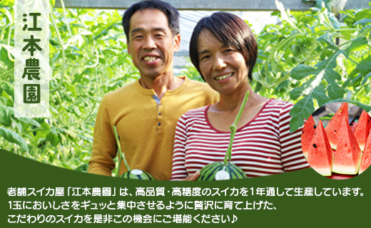 【期間限定】江本農園の4月春アンテナスイカ１玉
