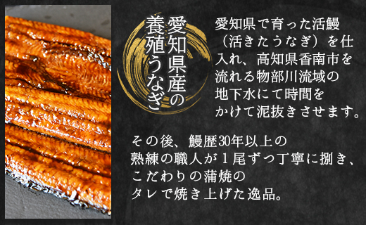 フジ物産 国産養殖うなぎ蒲焼き 約200g×2尾(愛知県産鰻) 鰻 ウナギ かばやき